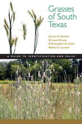 Seller image for Grasses of South Texas : A Guide to Their Identification and Value for sale by GreatBookPrices