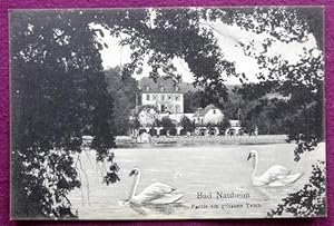 Ansichtskarte AK Bad Nauheim. Partie am großen Teich