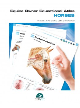 Bild des Verkufers fr Equine Owner Educational Atlas. Horses zum Verkauf von Vuestros Libros