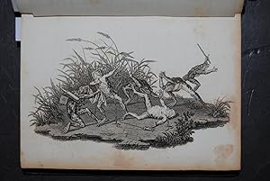 Bild des Verkufers fr Alpenrosen. Ein Schweizer Taschenbuch auf das Jahr 1832. zum Verkauf von Antiquariat C. Dorothea Mller