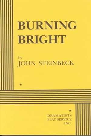 Seller image for Burning Bright : A Play in Story Form for sale by GreatBookPrices