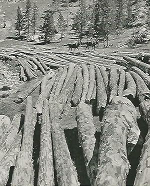 Imagen del vendedor de LAMINA 14625: Expoloracion forestal en Aigiamotx a la venta por EL BOLETIN