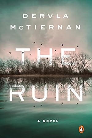 Seller image for The Ruin: A Novel by McTiernan, Dervla [Paperback ] for sale by booksXpress