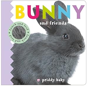 Seller image for Bunny and Friends Touch and Feel (Baby Touch and Feel) by Priddy, Roger [Board book ] for sale by booksXpress