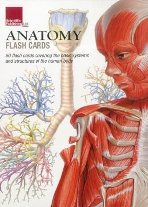 Imagen del vendedor de Anatomy Flash Cards by Scientific Publishing [Cards ] a la venta por booksXpress