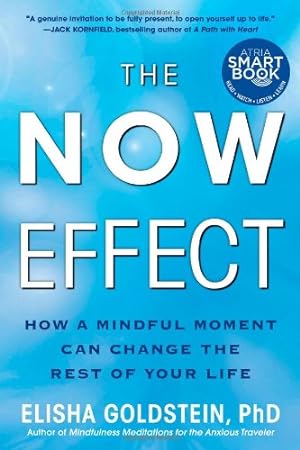 Seller image for The Now Effect: How a Mindful Moment Can Change the Rest of Your Life by Goldstein Ph.D., Elisha [Paperback ] for sale by booksXpress