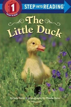 Seller image for The Little Duck (Step into Reading) by Dunn, Judy [Paperback ] for sale by booksXpress