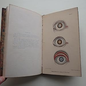 Lectures on Diseases of the Eye