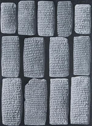 Neo-Babylonian Letters from Erech [Yale Oriental Series. Babylonian Texts, Vol. III]