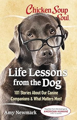Immagine del venditore per Chicken Soup for the Soul: Life Lessons from the Dog: 101 Stories About Our Canine Companions & What Matters Most by Newmark, Amy [Paperback ] venduto da booksXpress