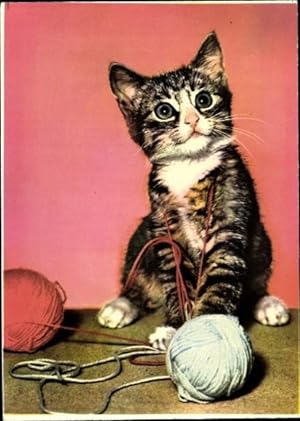 Ansichtskarte / Postkarte Kleines Kätzchen mit Wollknäuel
