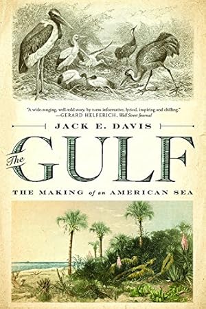 Imagen del vendedor de The Gulf: The Making of An American Sea by Davis, Jack E. [Paperback ] a la venta por booksXpress