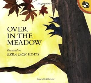 Immagine del venditore per Over in the Meadow by Olive A. Wadsworth [Paperback ] venduto da booksXpress