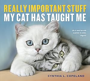 Imagen del vendedor de Really Important Stuff My Cat Has Taught Me by Copeland, Cynthia L. [Paperback ] a la venta por booksXpress