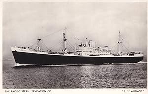 SS Flamenco Pacific Steam Navigation Company Ship Old RPC Postcard