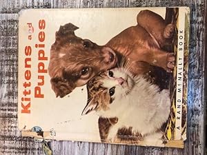 Bild des Verkufers fr Kittens and Puppies zum Verkauf von Emporium of Canton