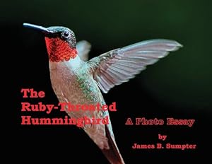 Seller image for The Ruby-throated Hummingbird: A Photo Essay (Paperback or Softback) for sale by BargainBookStores