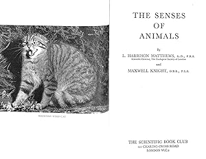 Bild des Verkufers fr The Senses of Animals zum Verkauf von WeBuyBooks