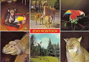 AK Zoo Rostock. Farbfotos: Reich, Rostock,
