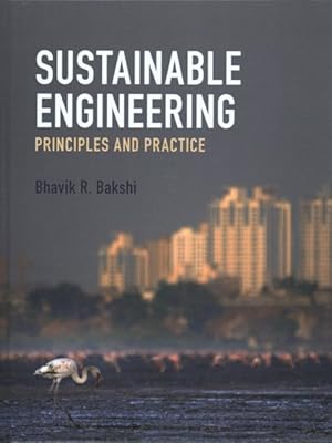 Bild des Verkufers fr Sustainable Engineering : Principles and Practice zum Verkauf von GreatBookPrices