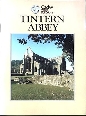 Bild des Verkufers fr Tintern Abbey zum Verkauf von books4less (Versandantiquariat Petra Gros GmbH & Co. KG)