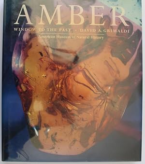 AMBER, A Window To The Past