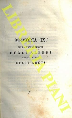 Sulla propagazione degli alberi e specialmente degli abeti.