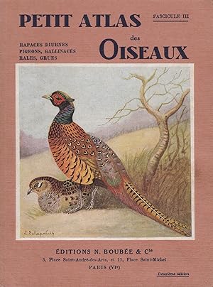 Image du vendeur pour Petit atlas des oiseaux - fascicule III - Rapaces diurnes, pigeons, gallinacs, rales, grues mis en vente par Pare Yannick