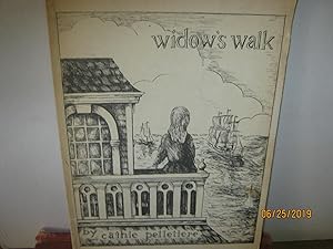 Imagen del vendedor de Widow's Walk a la venta por Open Door Books  MABA