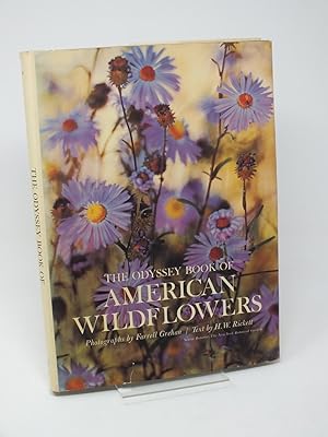 Bild des Verkufers fr The Odyssey Book of American Wildflowers. zum Verkauf von Antiquariat Hans Wger