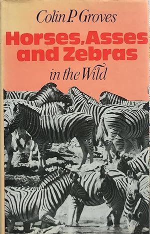Horses, asses and zebras in the wild