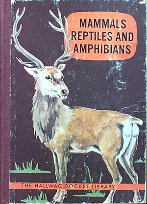 Mammals reptiles and amphibians
