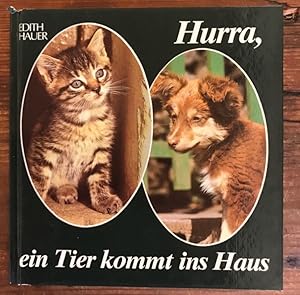 Hurra, ein Tier kommt ins Haus