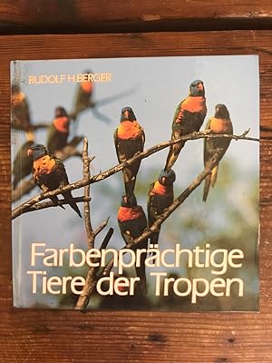 Farbenprächtige Tiere der Tropen