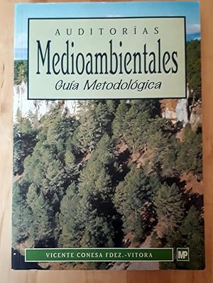 AUDITORÍAS MEDIOAMBIENTALES. GUÍA METODOLÓGICA