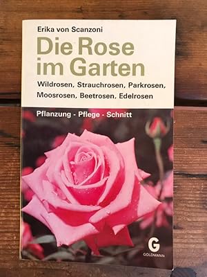 Die Rosen im Garten: Wildrosen, Strauchrosen, Parkrosen, Moosrosen, Beetrosen, Edelrosen: Pflanzu...