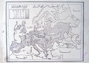 Plates 28 & 29: [Arabic map of population of Europe [with] Spain and Portugal] Tawzi' al-sukkan f...