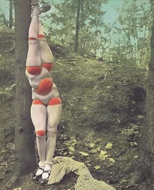 Seller image for Behind Closed Doors. The Art of Hans Bellmer. for sale by Antiquariat Querido - Frank Hermann