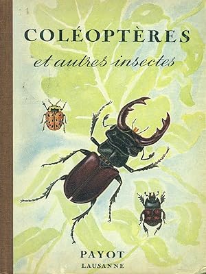 Coleopteres et autres insectes