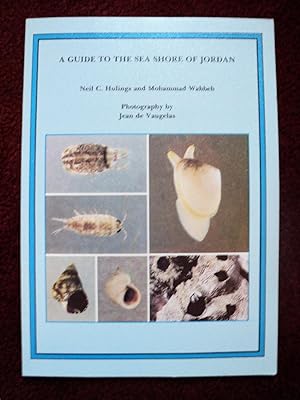 Seller image for A Guide to the Sea Shore of Jordan for sale by Cadeby Books