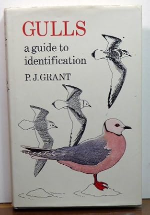 Seller image for Gulls: A Guide to Identification for sale by RON RAMSWICK BOOKS, IOBA