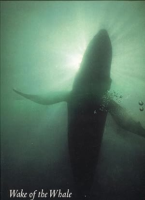 Bild des Verkufers fr Wake of the Whale zum Verkauf von Studio Bibliografico Marini