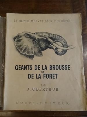 Géant de la Brousse et de la Forêt.