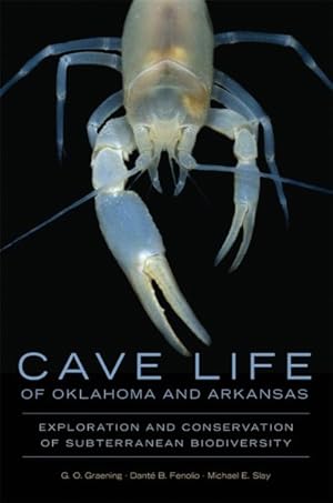 Seller image for Cave Life of Oklahoma and Arkansas : Exploration and Conservation of Subterranean Biodiversity for sale by GreatBookPrices