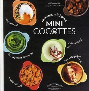 Imagen del vendedor de Mini-cocottes apro a la venta por Chapitre.com : livres et presse ancienne