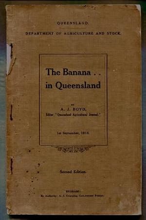 The Banana in Queensland
