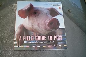 Seller image for A FIELD GUIDE TO THE PIGS How to Identify and Appreciate 36 Breeds for sale by Masons' Books