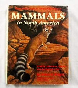 Bild des Verkufers fr Mammals in North America From Arctic Ocean to Tropical Rain Forest. Wildlife Adventure Stories and Technical Guide zum Verkauf von Adelaide Booksellers