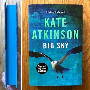 Seller image for Big Sky (Jackson Brodie) for sale by Setanta Books