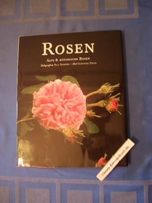 Rosen : alte & botanische Rosen. Fotogr. Paul Starosta. Text Elénore Cruse. [Red.: Philippe Pierr...